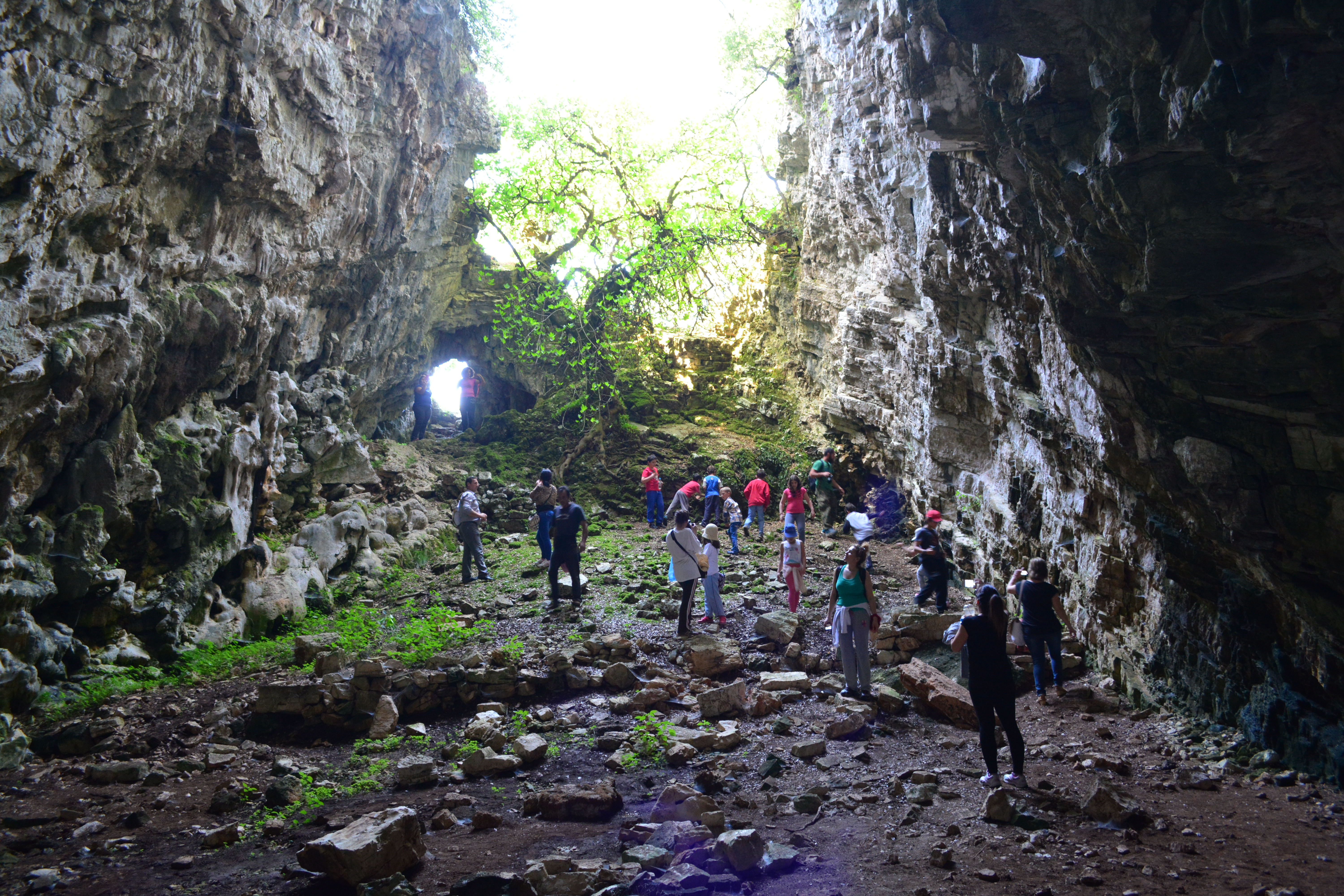 σπήλαιο Ρίζες