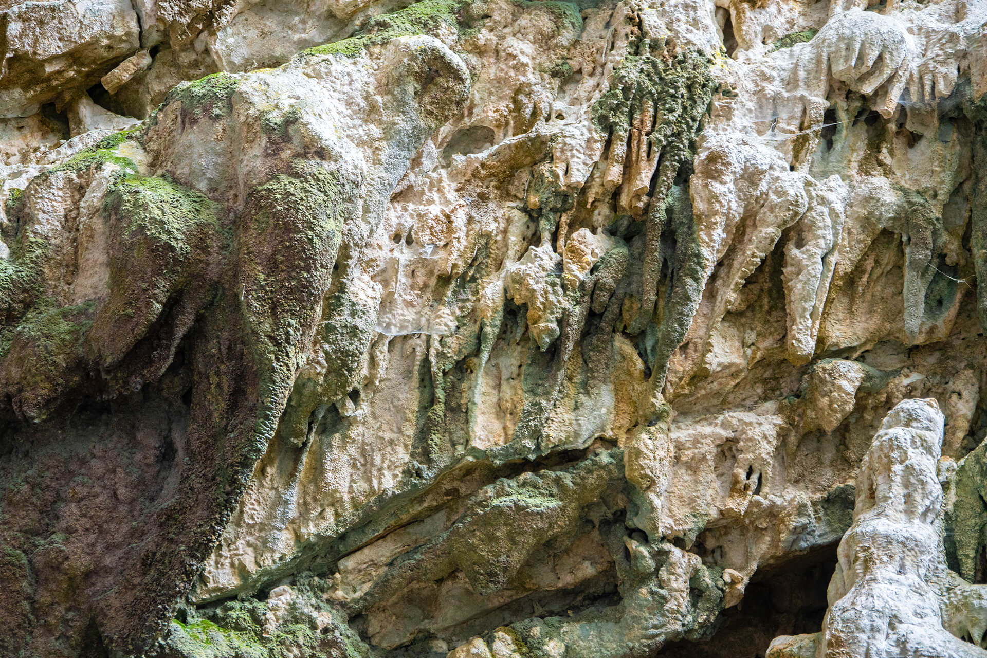 Σπηλαιοθέματα στο πλευρικό τοίχωμα του σπηλαίου