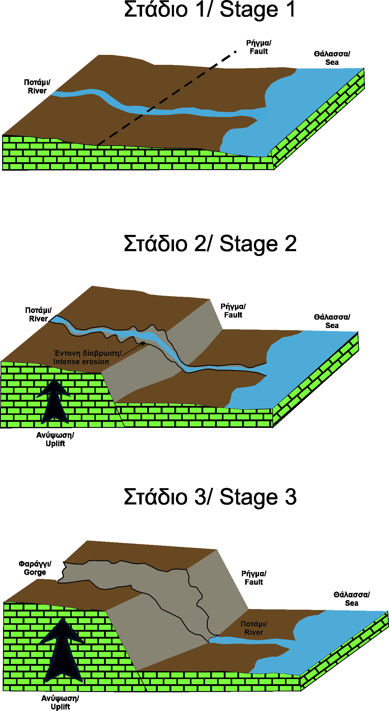 Schematic sketches representing the stages of the formation of the Gorge of Agia Varvara