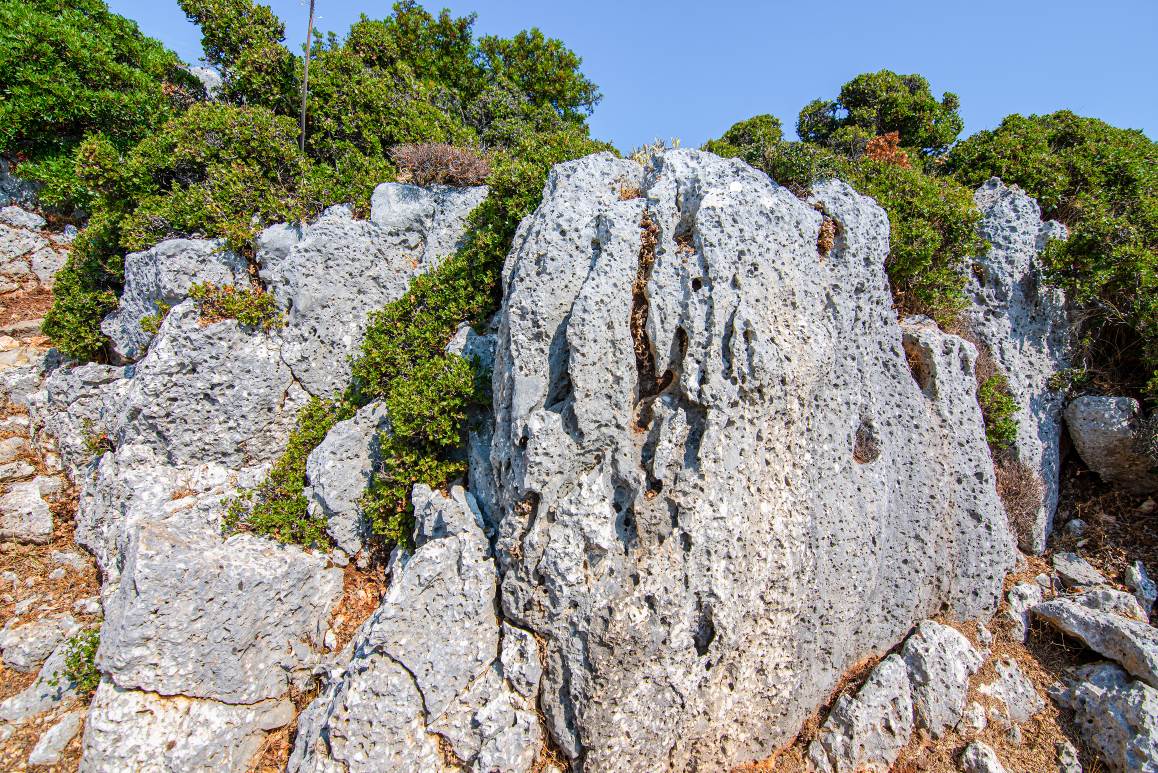 Το μεγαλύτερο τμήμα της επιφάνειάς της Ιθάκης καλύπτεται από ασβεστόλιθους