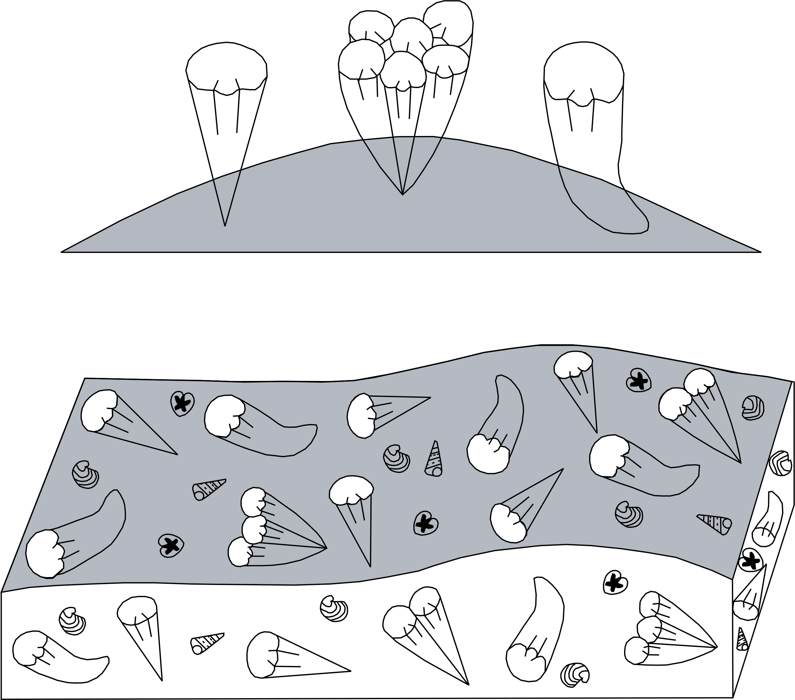 Simplified depictions of a rudist colony (above) and a rudist thanatocoenosis (below)